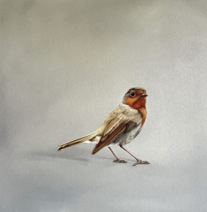 BIRDY 1