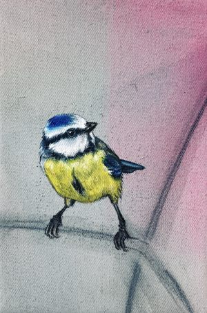 BLAUMEISE 2025/4