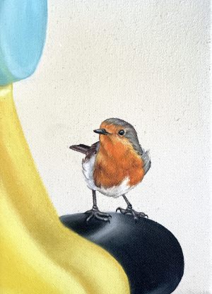 ROBIN 2025/6