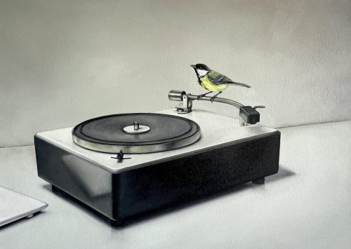 PS2 with bird_2026/2