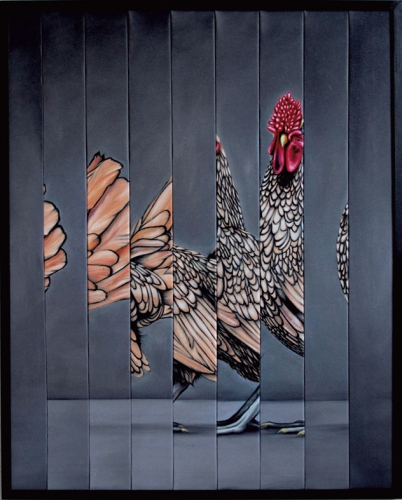 that cock wont fight